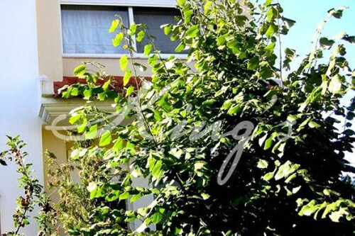 Foto - Haus Kaufen, , Kifisia (Athen Nord),