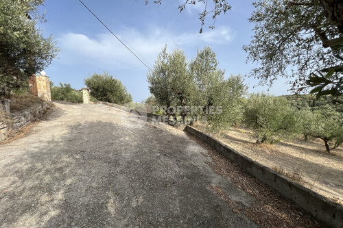 Foto - Grundstück in 