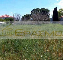 Grundstück Land Kaufen, , Vocha (Korinthia),