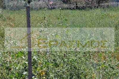 Foto - Grundstück zum Kaufen in 