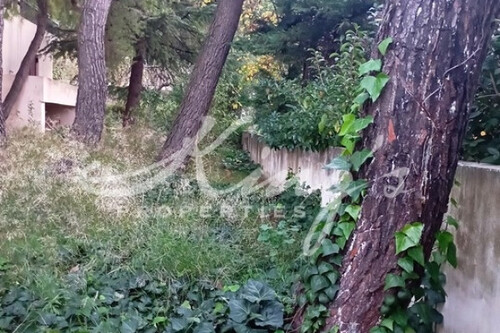 Foto - Grundstück Land Kaufen, , Drosia (Athen Nord),