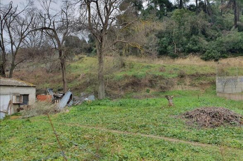 Foto - Grundstück Land Kaufen, , Kassandra (Chalkidiki),