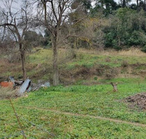 Grundstück Land Kaufen, , Kassandra (Chalkidiki),