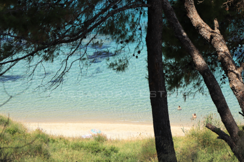 Foto - 4 Zimmer Einfamilienhaus zur Miete in 