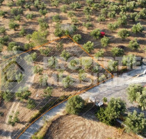 Grundstück Land Kaufen, , Koroni (Messinia),