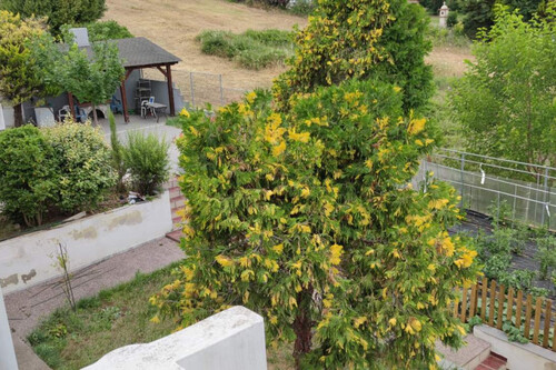 Foto - 7 Zimmer Einfamilienhaus in 