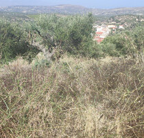 Grundstück Land Kaufen, , Episkopi (Heraklion Präfektur),
