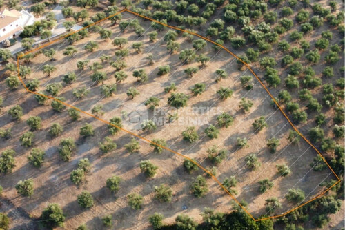 Foto - Grundstück in 