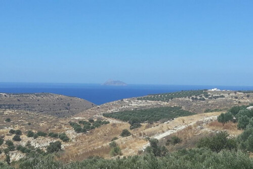 Foto - Grundstück Land Kaufen, , Moires (Heraklion Präfektur),