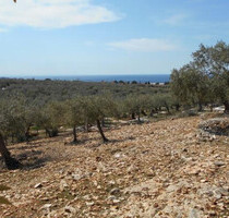 Grundstück Land Kaufen, , Thasos (Kavala Präfektur),