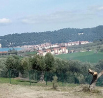 Grundstück Land Kaufen, , Kassandra (Chalkidiki),