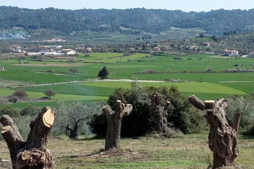 Foto - Grundstück zum Kaufen in 
