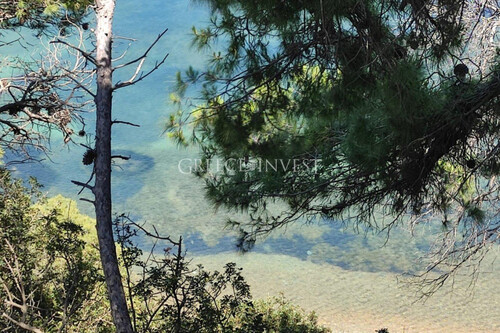 Foto - 7 Zimmer Einfamilienhaus zum Kaufen in 