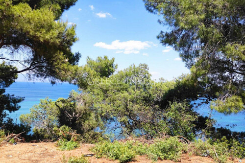 Foto - 7 Zimmer Einfamilienhaus in 