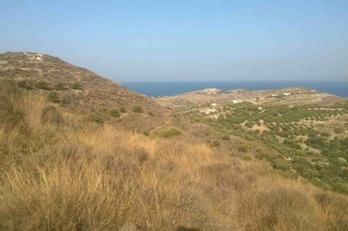 Foto - Grundstück zum Kaufen in 