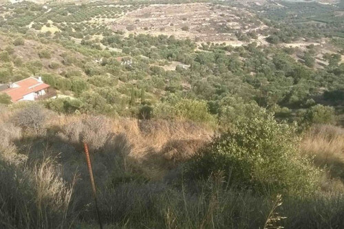 Foto - Grundstück in zum Kaufen