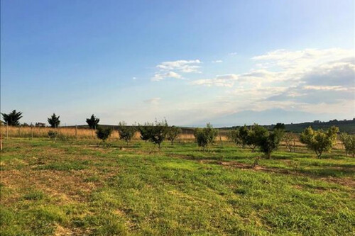 Foto - Einfamilienhaus in zum Kaufen