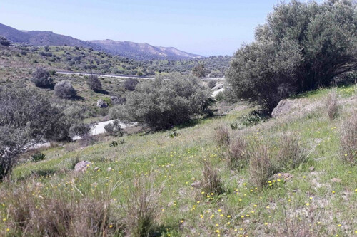 Foto - Grundstück Land Kaufen, , Moires (Heraklion Präfektur),