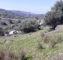 Grundstück Land Kaufen, , Moires (Heraklion Präfektur),