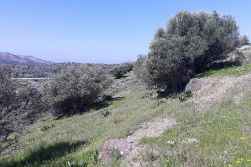 Foto - Grundstück in zum Kaufen