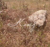 Grundstück Land Mieten, , Metamorfosi (Athen West),