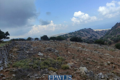 Foto - Grundstück in zum Kaufen