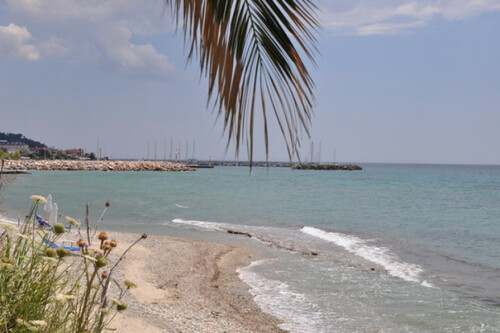 Foto - 