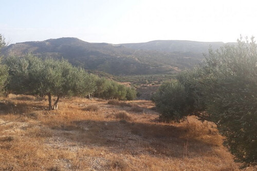Foto - Grundstück in zum Kaufen