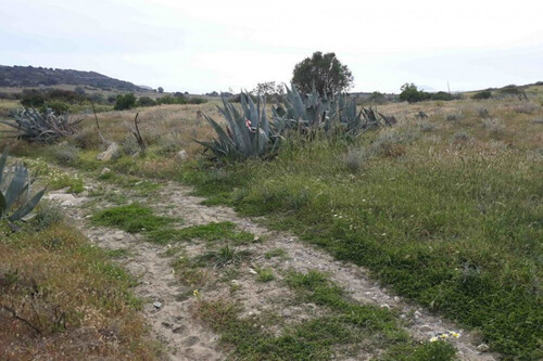 Foto - Grundstück in zum Kaufen