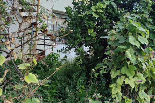 Foto - Grundstück in 