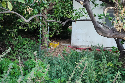 Foto - Grundstück in zum Kaufen