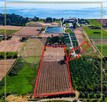 Grundstück Land Kaufen, , Messini (Messinia),