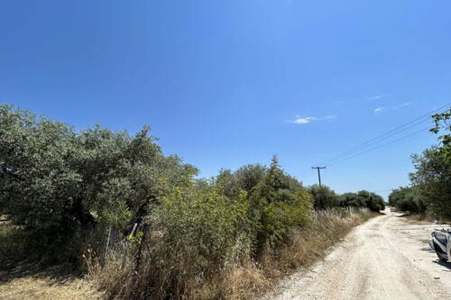 Foto - Grundstück Land Kaufen, , Thasos (Kavala Präfektur),