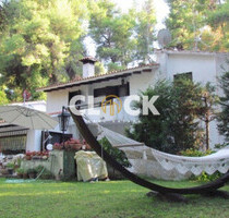 Haus Kaufen, , Kassandra (Chalkidiki),