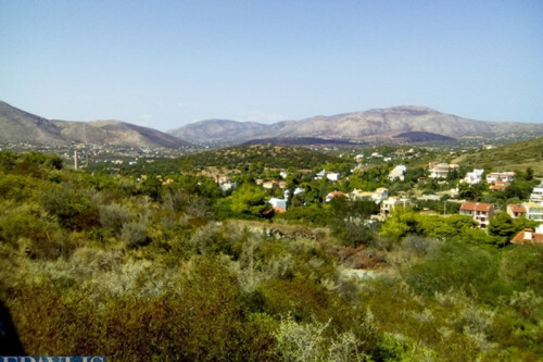 Foto - Grundstück Land Kaufen, , Palaia Fokaia (Attika - Restliche Gemeinden),