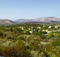 Grundstück Land Kaufen, , Palaia Fokaia (Attika - Restliche Gemeinden),