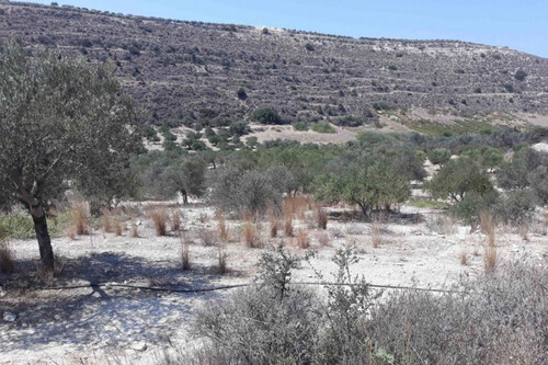 Foto - Grundstück in 