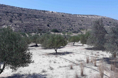 Foto - Grundstück in zum Kaufen