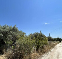 Grundstück Land Kaufen, , Thasos (Kavala Präfektur),