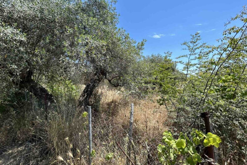 Foto - Grundstück in zum Kaufen