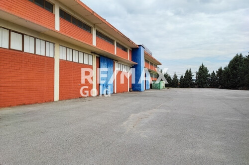 Foto - 