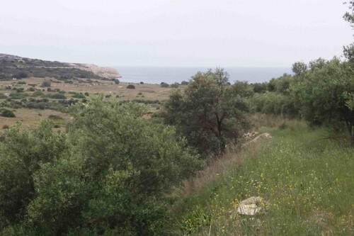 Foto - Grundstück Land Kaufen, , Moires (Heraklion Präfektur),