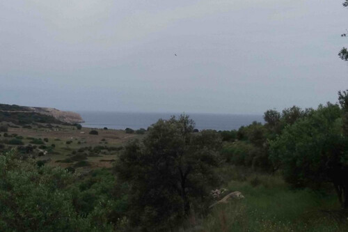 Foto - Grundstück zum Kaufen in 