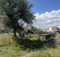 Grundstück Land Kaufen, , Salamis (Saronische Inseln), 12.500 €