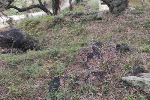 Foto - Einfamilienhaus in zum Kaufen