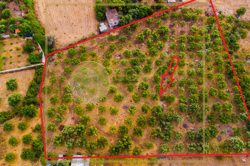 Foto - Grundstück in zum Kaufen