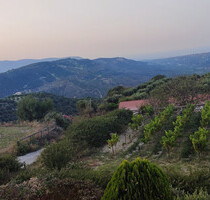 Grundstück Land Kaufen, , Gazi (Heraklion Präfektur),