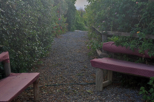 Foto - Grundstück zum Kaufen in 