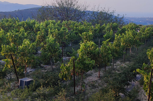 Foto - Grundstück in 