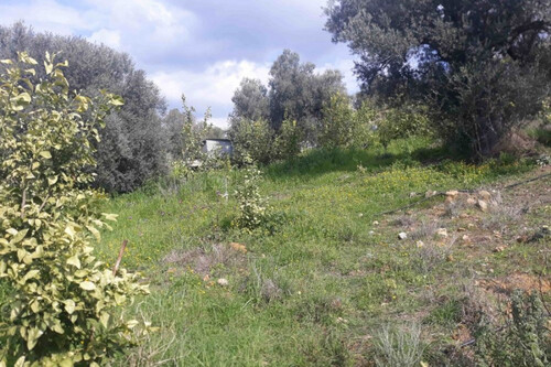 Foto - Grundstück in 